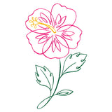 Tropical Calligraphy in Bloom - Hibiscus