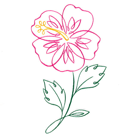 Tropical Calligraphy in Bloom - Hibiscus