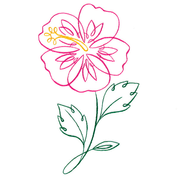 Tropical Calligraphy in Bloom - Hibiscus