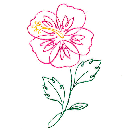 Tropical Calligraphy in Bloom - Hibiscus