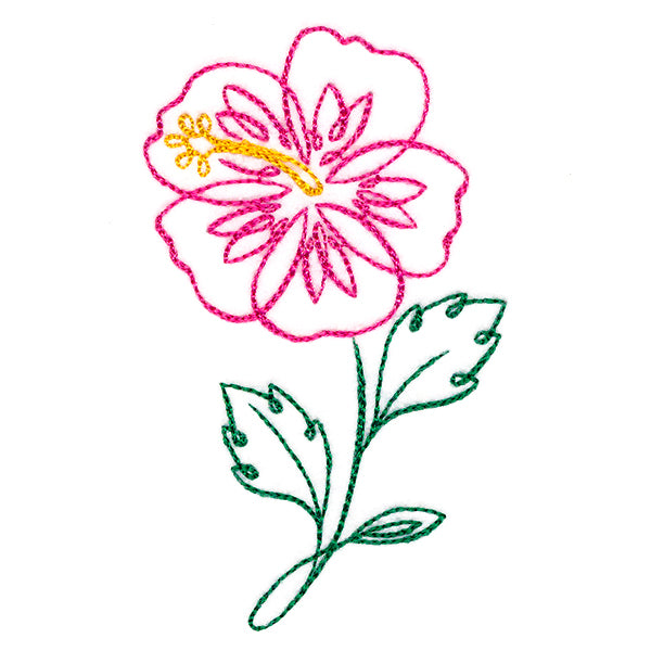 Tropical Calligraphy in Bloom - Hibiscus