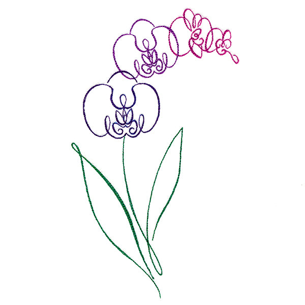 Tropical Calligraphy in Bloom - Orchid