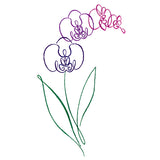 Tropical Calligraphy in Bloom - Orchid