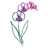 Tropical Calligraphy in Bloom - Orchid