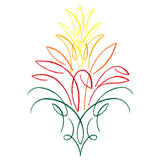Tropical Calligraphy in Bloom - Bromeliad