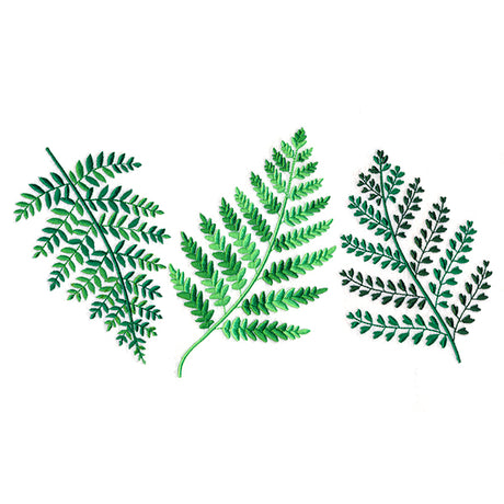 Wild Fern Trio