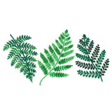 Wild Fern Trio