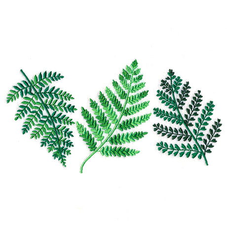 Wild Fern Trio