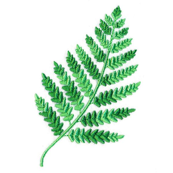 Wild Fern 2