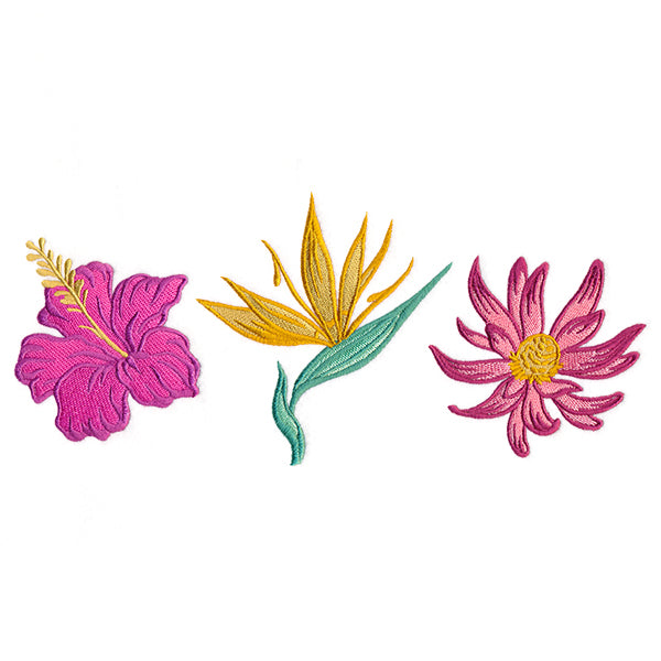 Tropical Blooms Trio