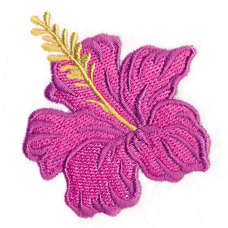 Tropical Blooms - Hibiscus