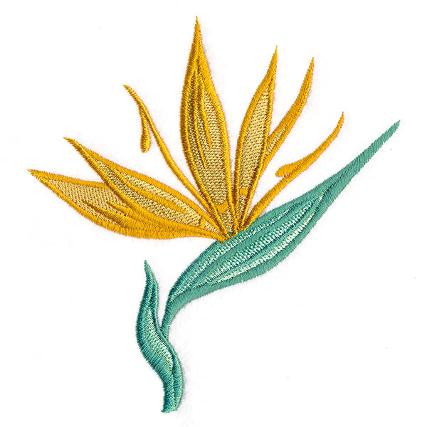 Tropical Blooms - Bird of Paradise