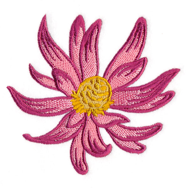 Tropical Blooms - Conebush