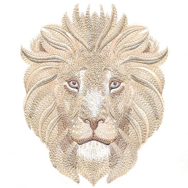 Soft Safari Lion