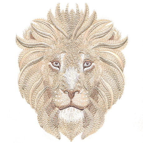 Soft Safari Lion