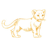 Charming Baby Lion Etching