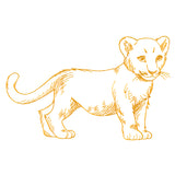 Charming Baby Lion Etching