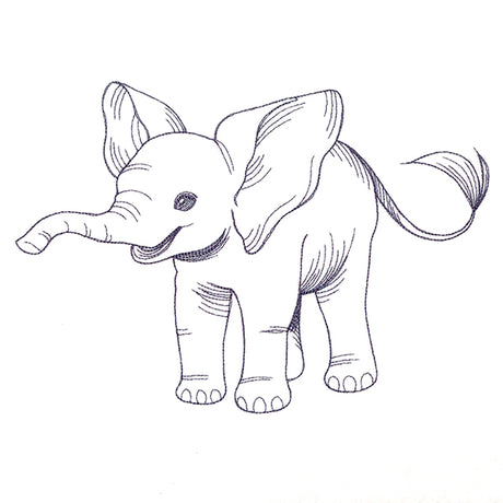 Delightful Baby Elephant Etching