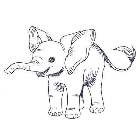 Delightful Baby Elephant Etching