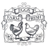 Fancy Farm Fresh Eggs
