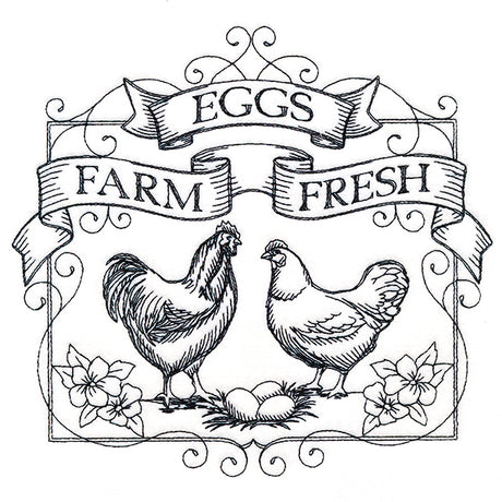 Fancy Farm Fresh Eggs