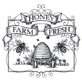 Fancy Farm Fresh Honey