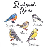 Backyard Birds