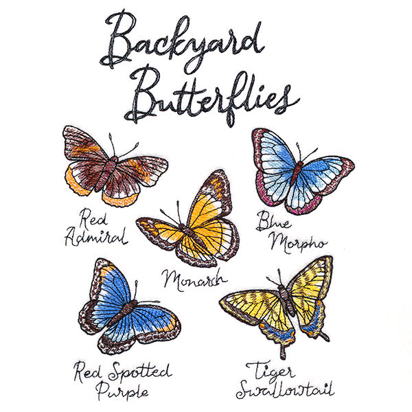 Backyard Butterflies