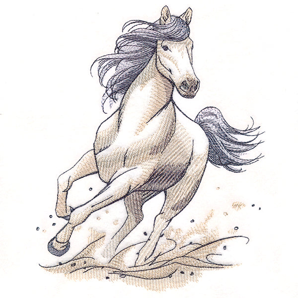 Running Wild Stallion