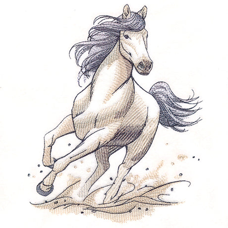 Running Wild Stallion