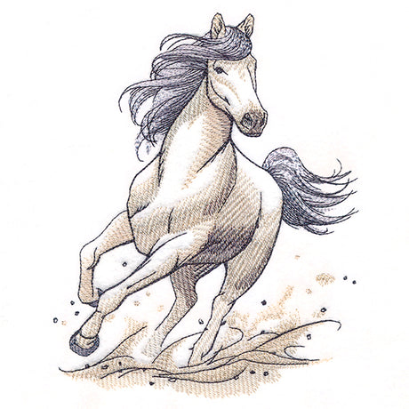 Running Wild Stallion