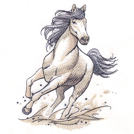 Running Wild Stallion