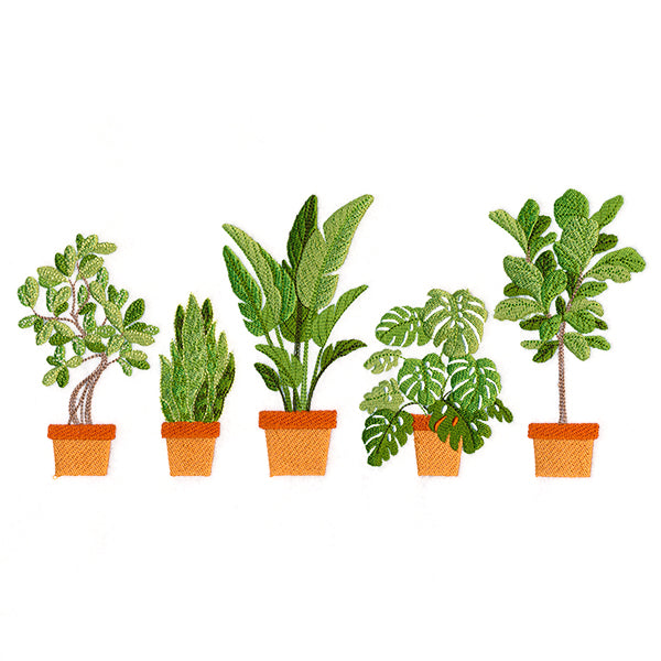 Houseplant Heaven Border