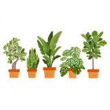 Houseplant Heaven Border