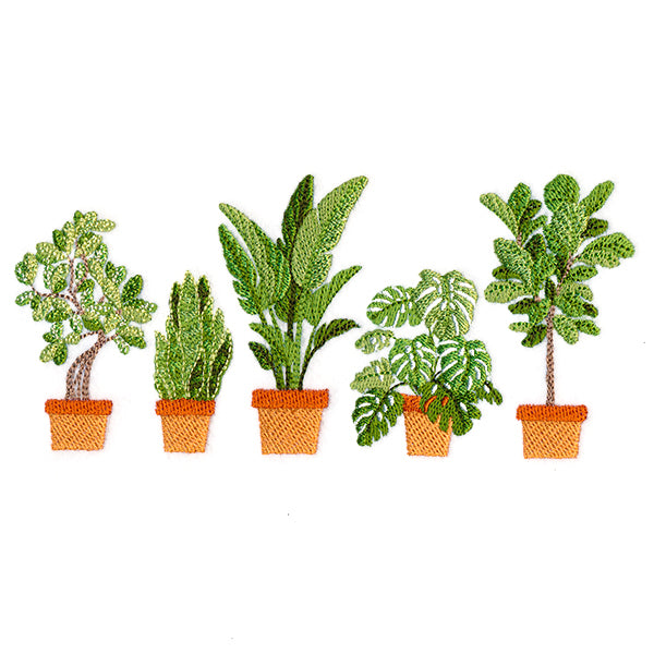 Houseplant Heaven Border