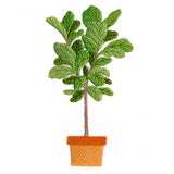 Houseplant Heaven - Fiddle Leaf Fig