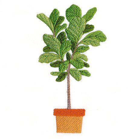 Houseplant Heaven - Fiddle Leaf Fig