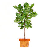 Houseplant Heaven - Fiddle Leaf Fig