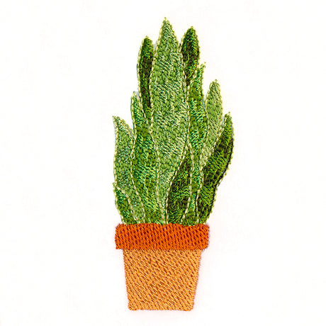 Houseplant Heaven - Sansevieria