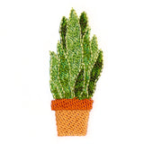 Houseplant Heaven - Sansevieria