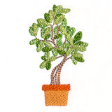 Houseplant Heaven - Indian Banyan