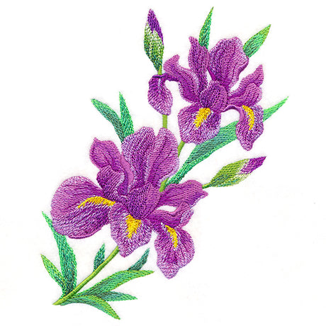 Splendid Iris Bouquet