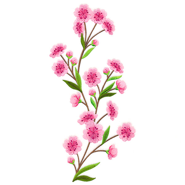 Graceful Cherry Blossoms - Tall