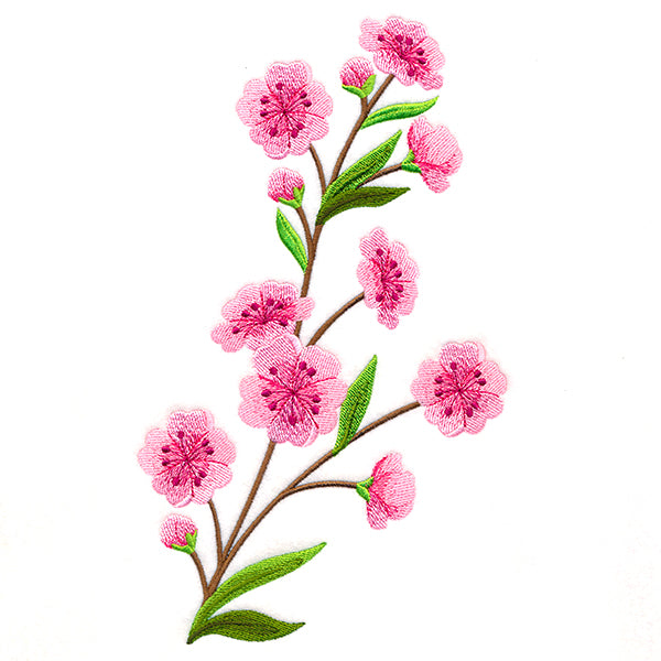 Graceful Cherry Blossoms - Medium