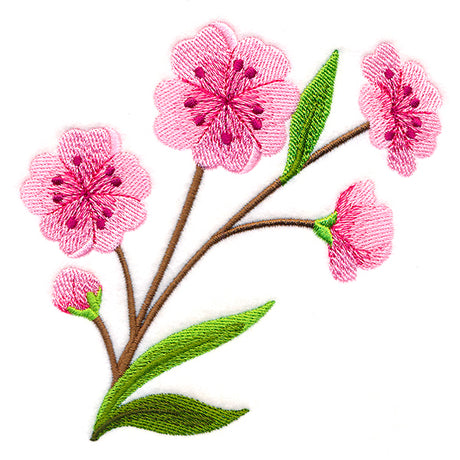 Graceful Cherry Blossoms - Short