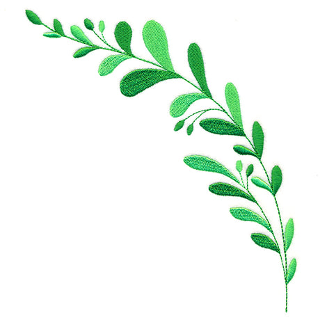 Lively Botanical Curve