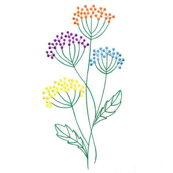 Delightful Queen Anne's Lace