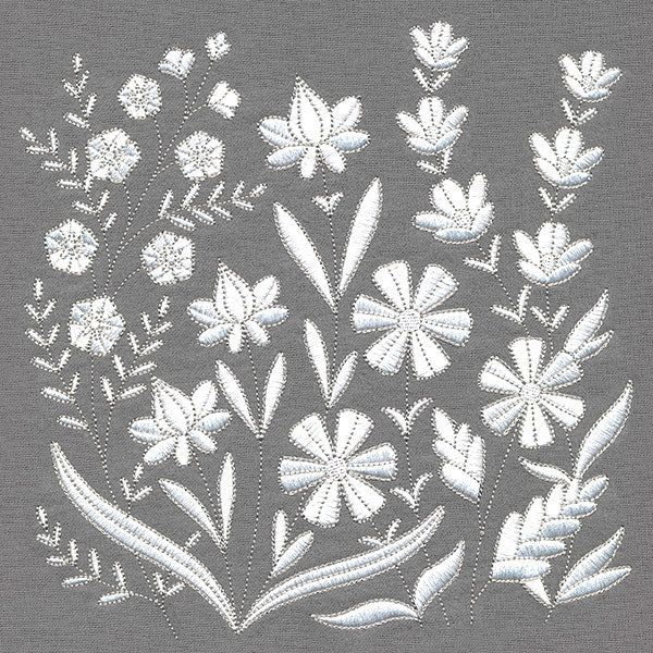 Charming Wildflowers in Bloom