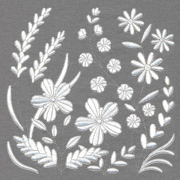 Lovely Wildflowers in Bloom