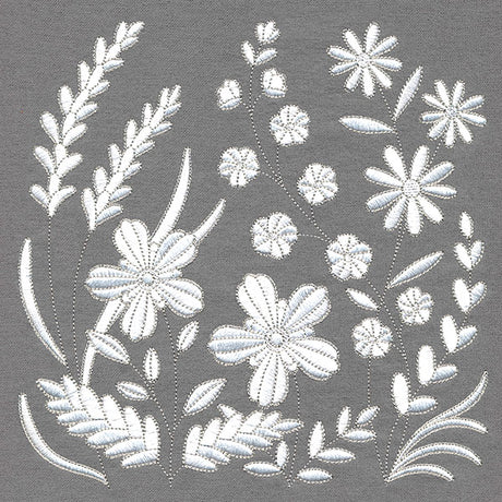 Lovely Wildflowers in Bloom